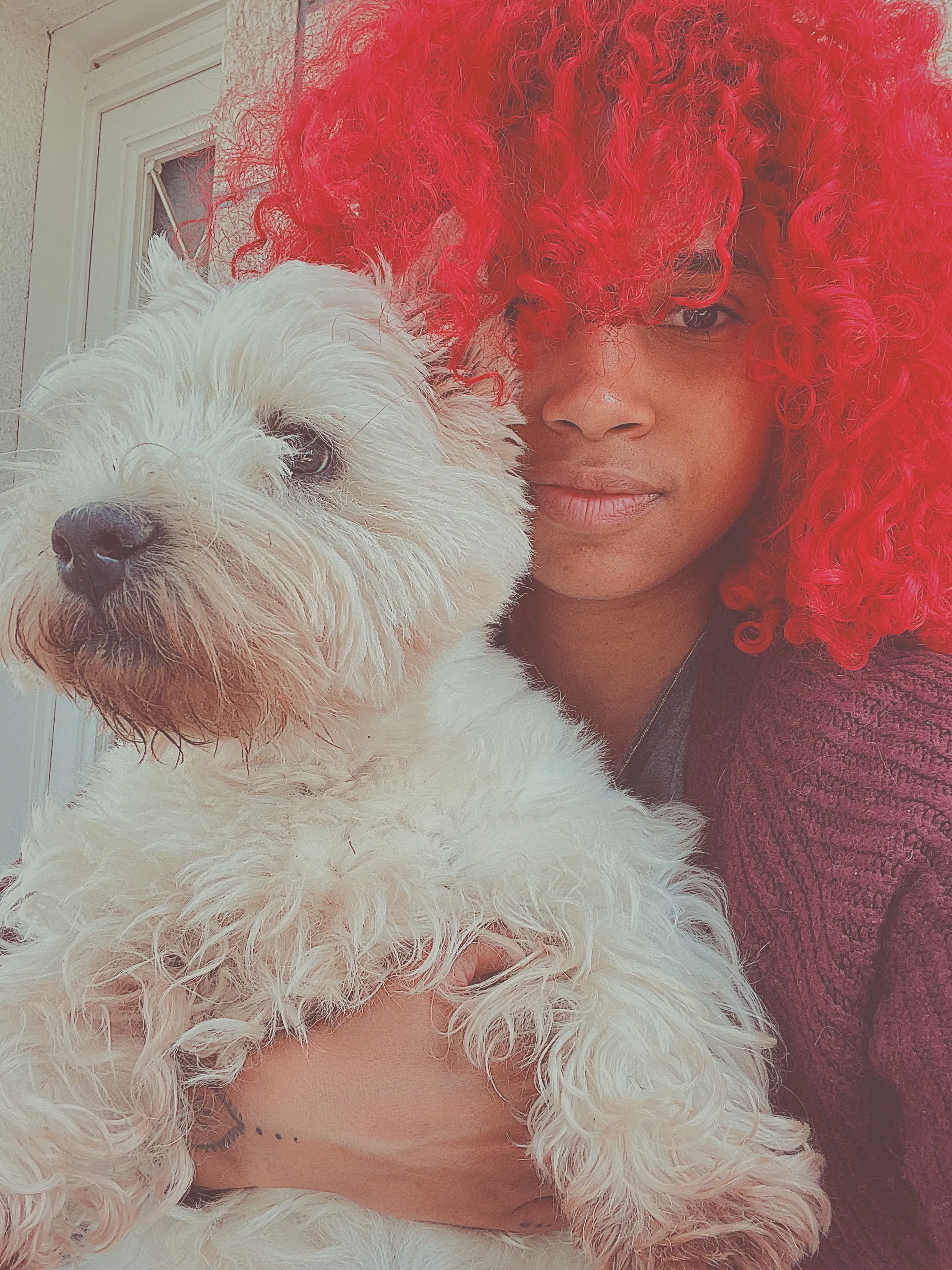 Alexia, pet-sitter professionnelle à Toulouse