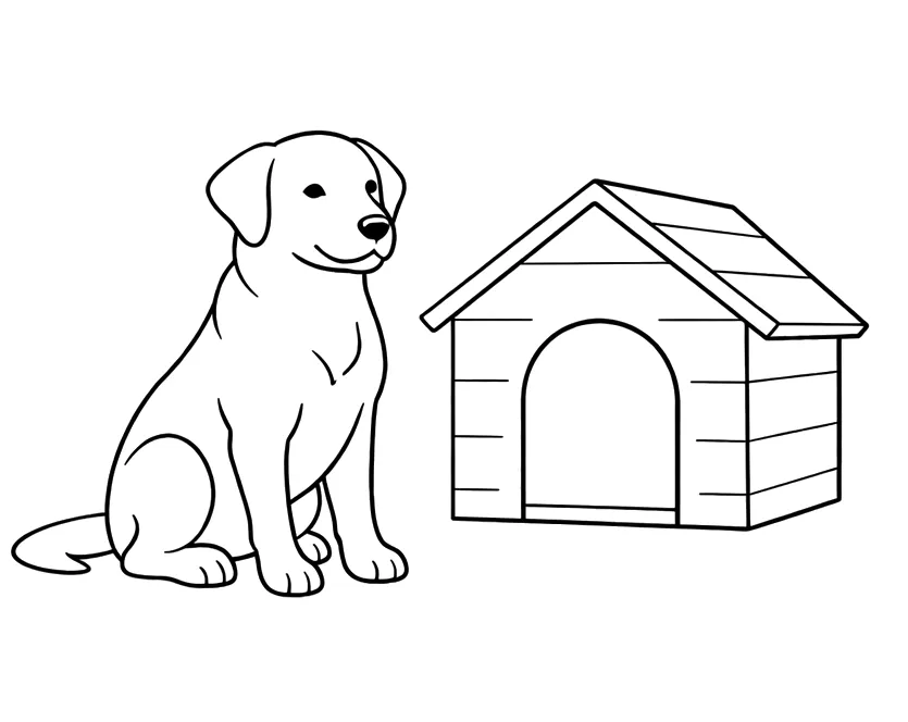 Visite à domicile pour chien à Toulouse