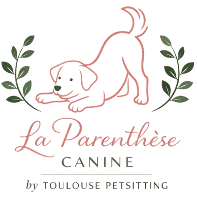 Pet-sitter avec un chien à Toulouse